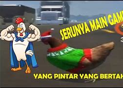 Nama Game Ayam Bertarung Di Langit